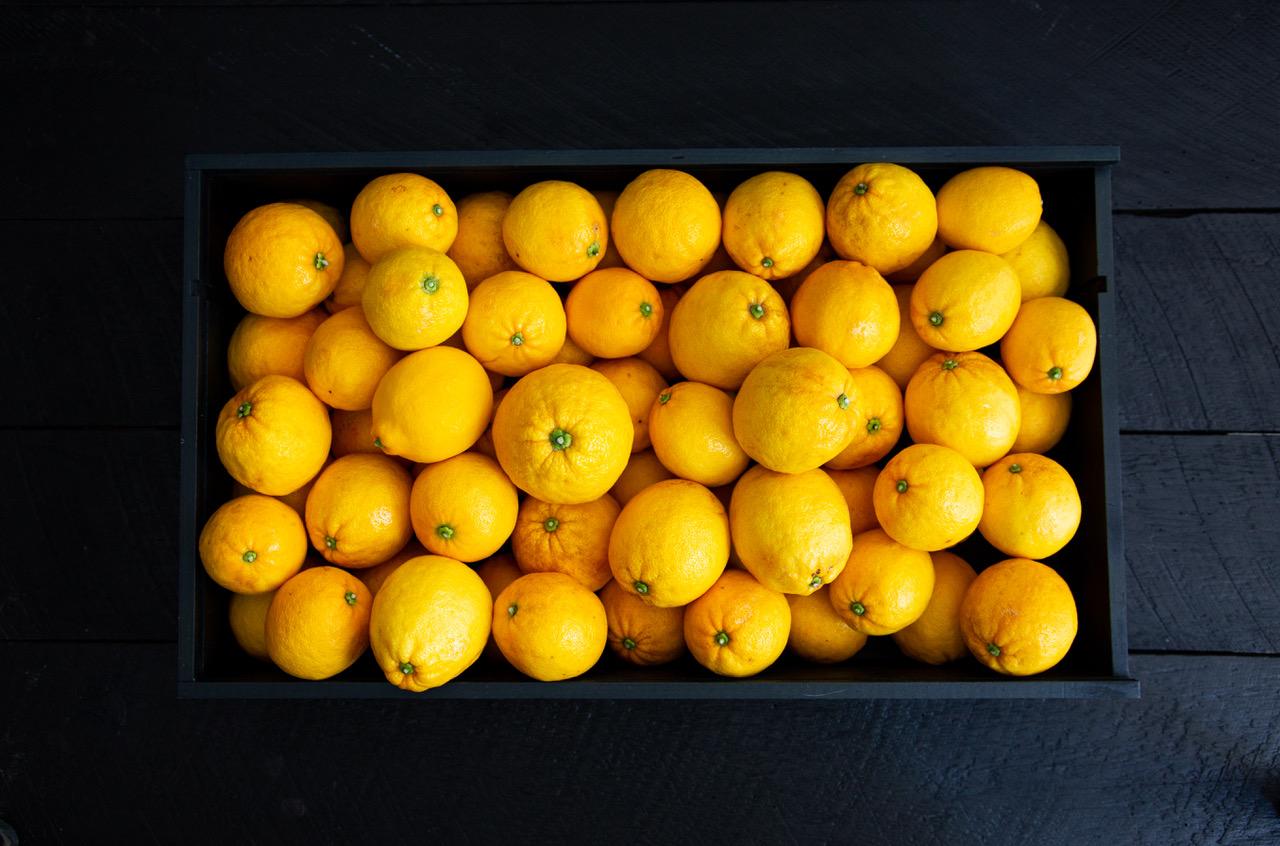 Fruit of The Month - The Lemonade Fruit